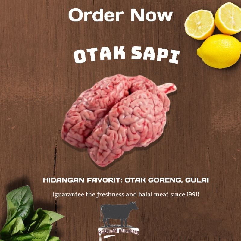 

OTAK SAPI 1 BUAH FRESH BUKAN FROZEN DIJAMIN HALAL