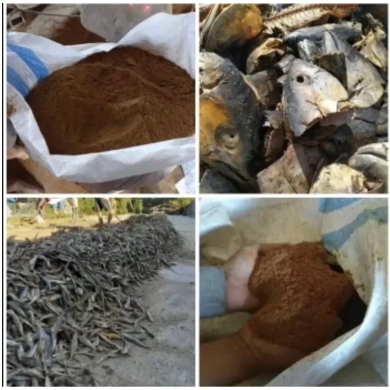 

50 kg Tepung Ikan Steam protein 80 persen Dijamin Asli dari ikan laut