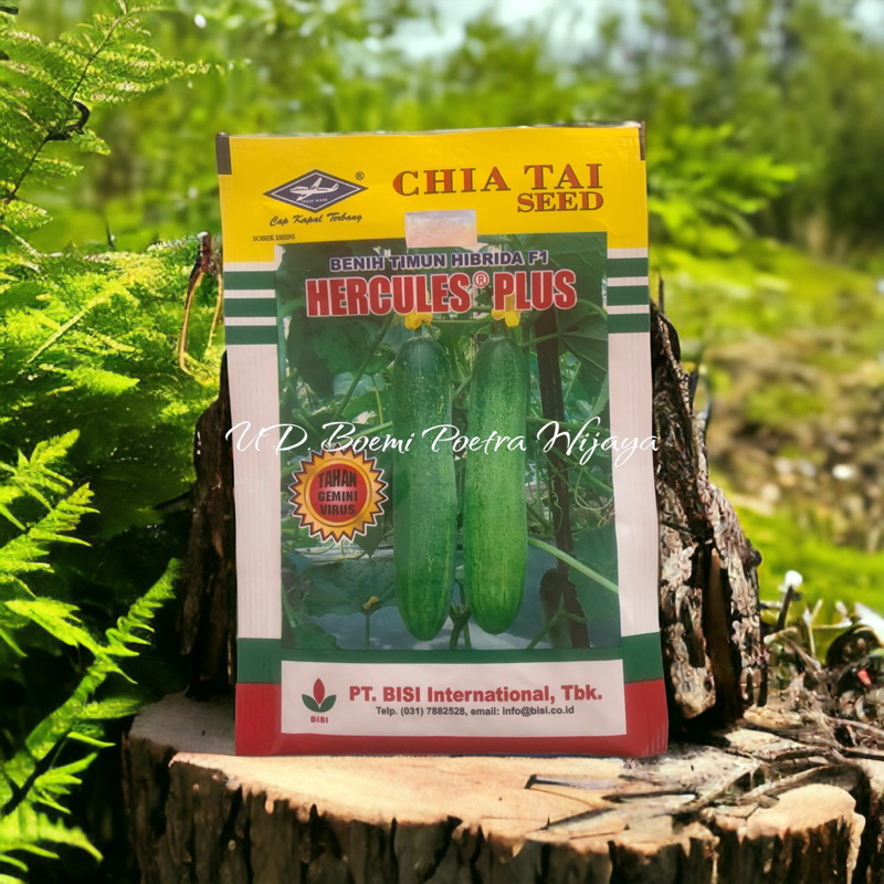 BENIH TIMUN HERCULES PLUS 10gr