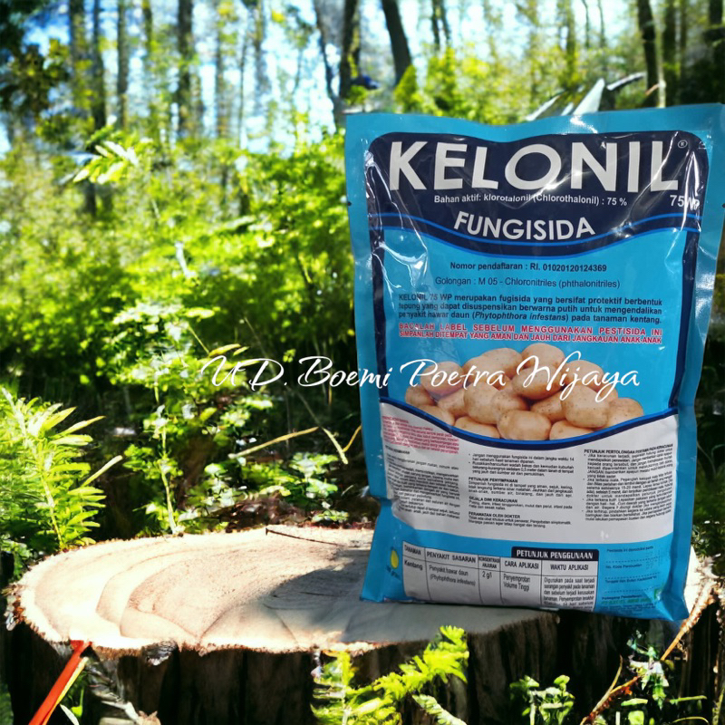 FUNGISIDA KELONIL 75WP