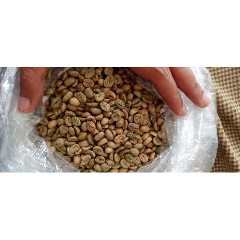 

Greenbeans Kopi Arabika Merbabu proses fermentasi 1kg