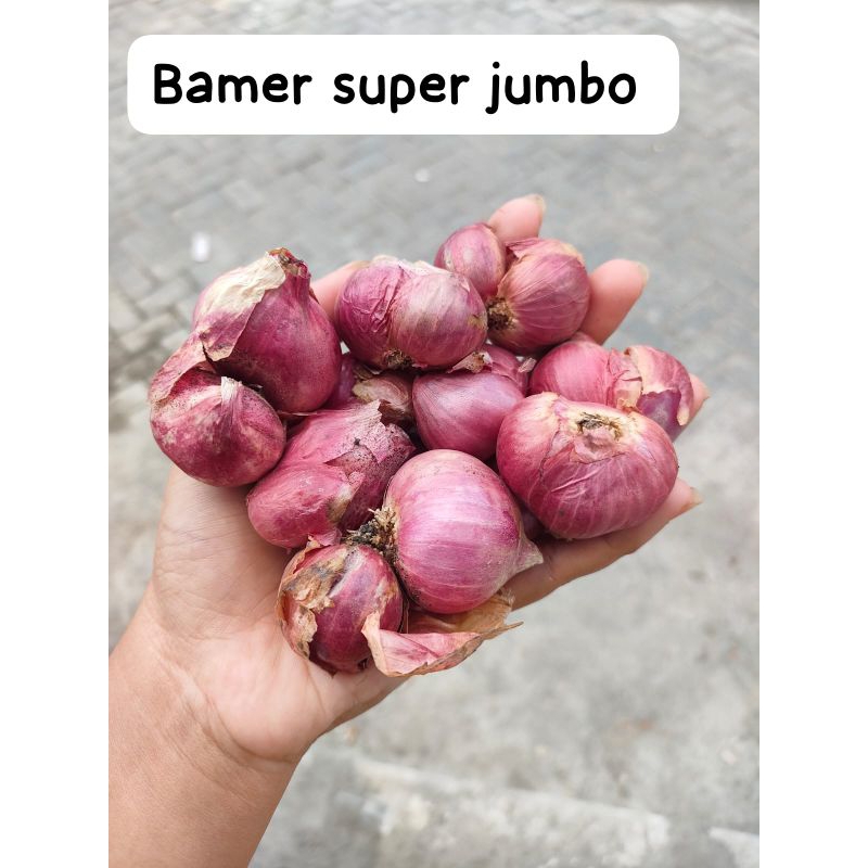 

Bawang merah BIMA 1kg//Bawang kering//Bawang Jumbo