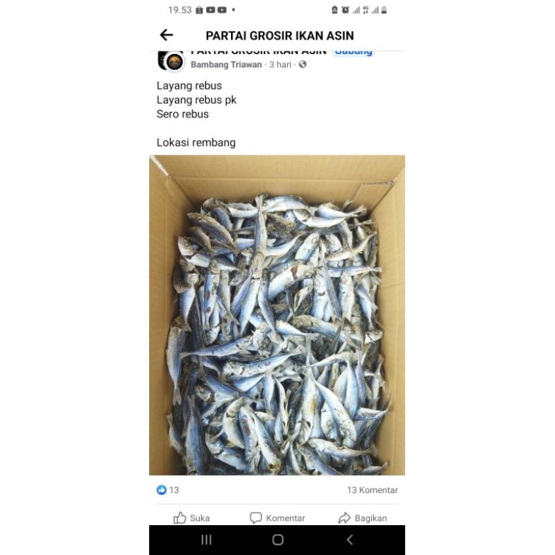 

ikan asin super murah, fress