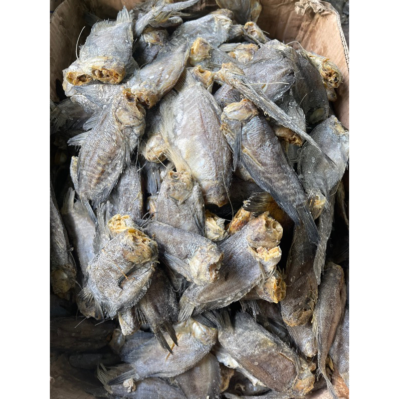 

ikan asin sepat besar