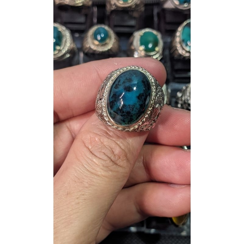 BACAN TOTOL COKLAT MAJIKO