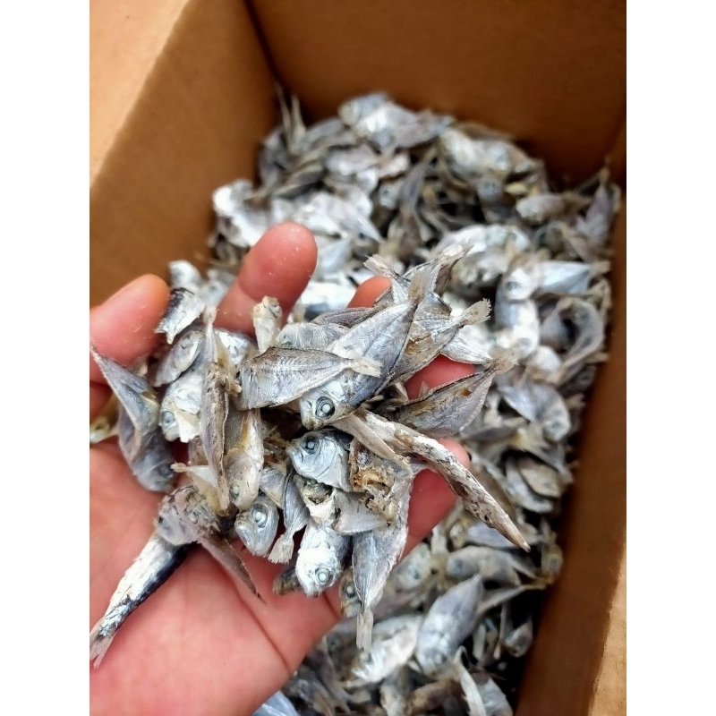 

Maco abik Khas Pasisia,, ikan abik, abik pasisia 100 gr