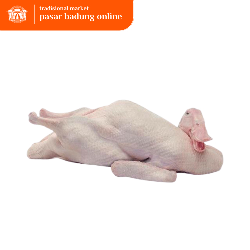 

Bebek Peking Segar [800 gr]