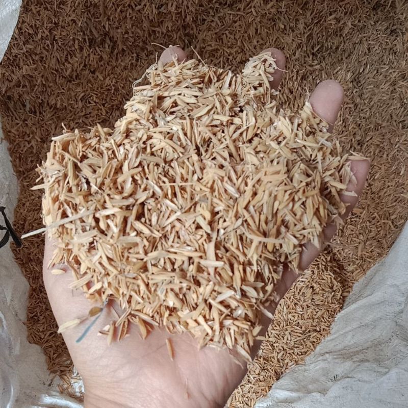 Media Sekam Mentah Gabah Kering