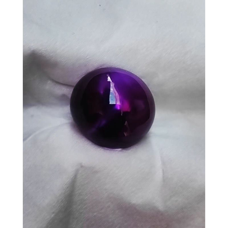 KECUBUNG UNGU AIR MERAH KECUBUNG UNGU TUA KECUBUNG KRIBANG