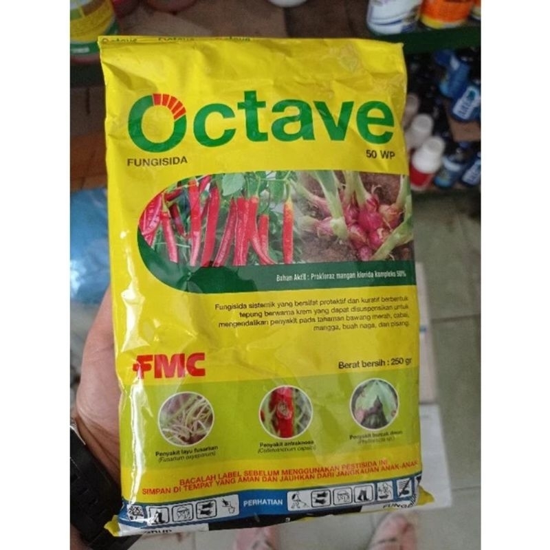 octave 250gram fungisida layu fusarium