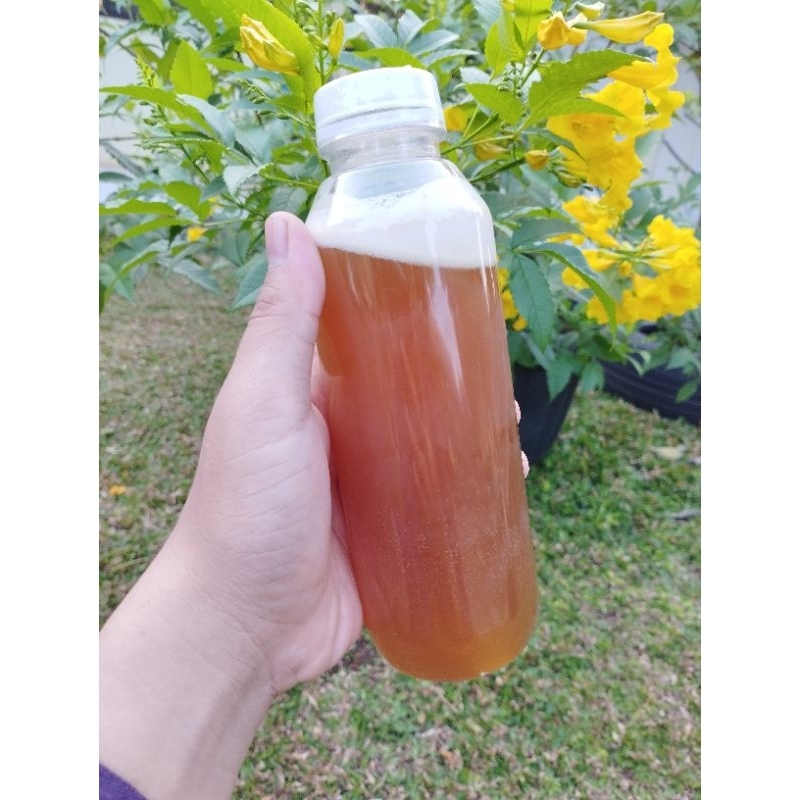 

Madu Hutan Pandeglang asli dan murni 500 gram