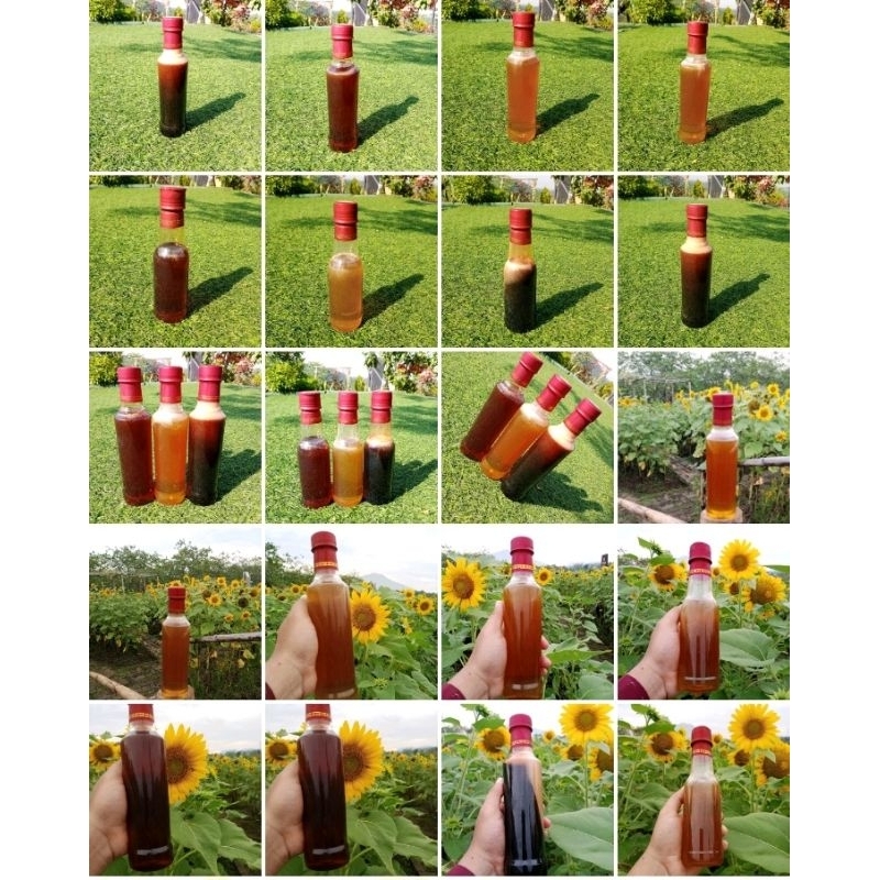 

Madu hutan Pandeglang 500 gram