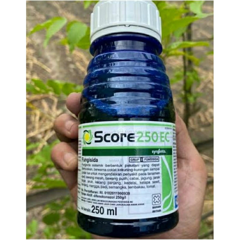 score 250ml