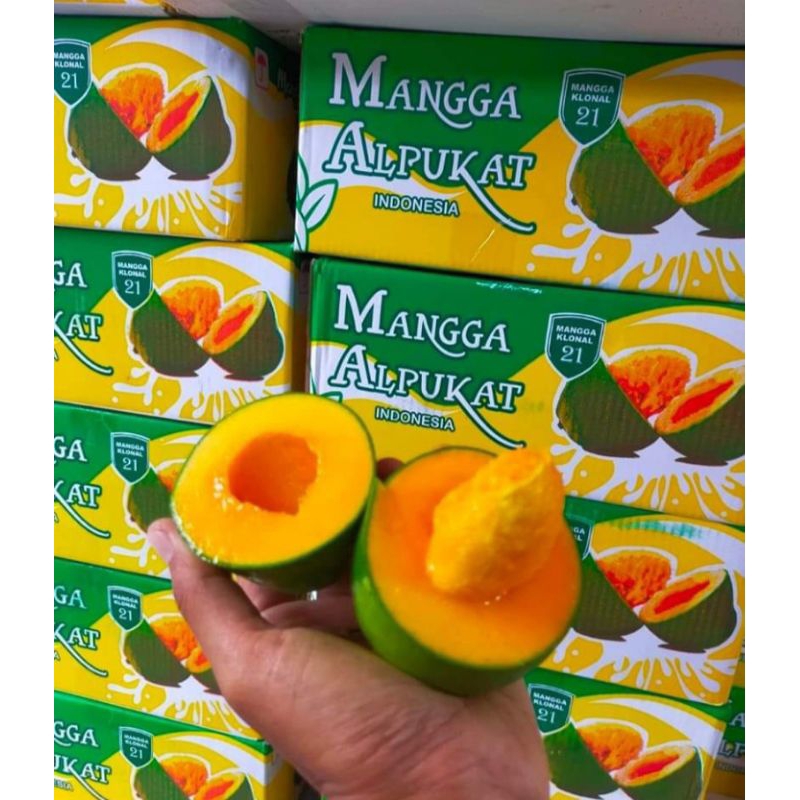 

Mangga Alpukat Asli Pasuruan Super 5kg