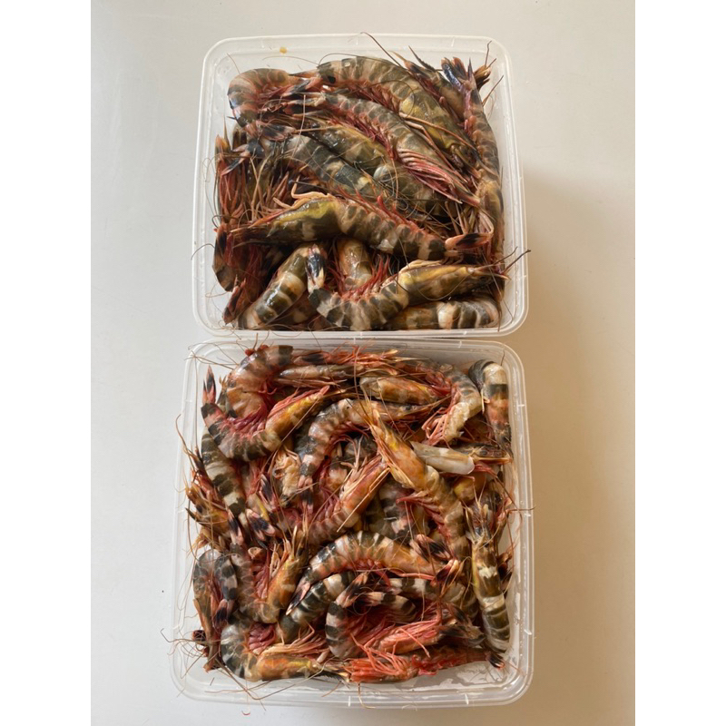

Udang Windu/Tiger -+ 500 Gram