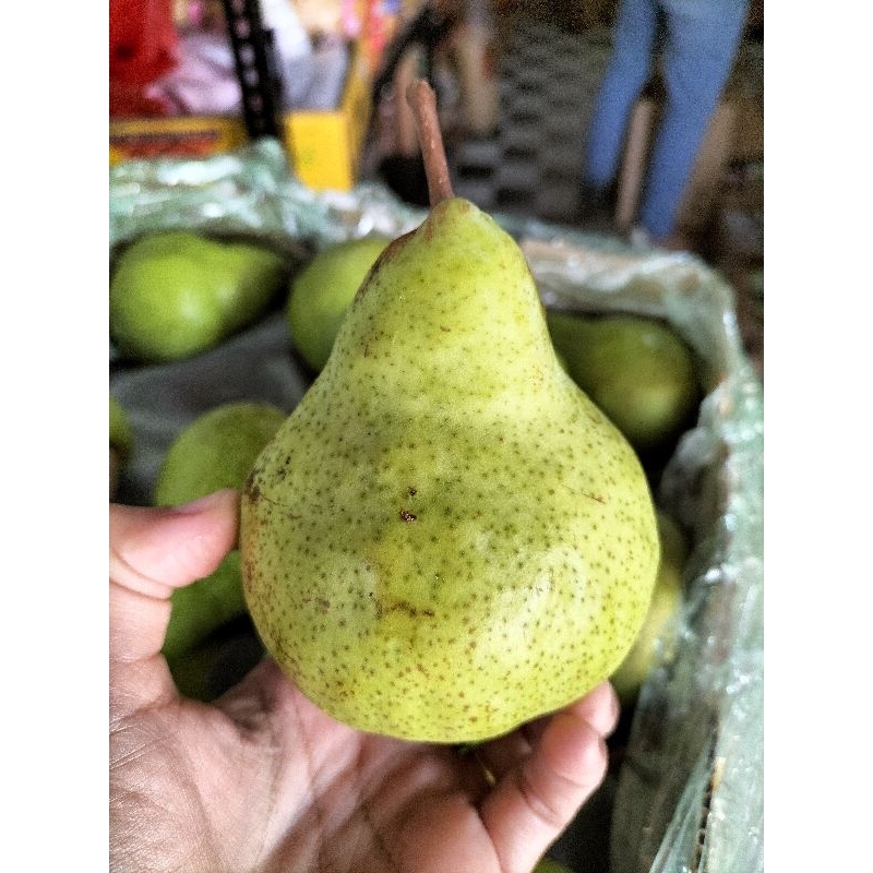 

pear ijo packam 4 biji