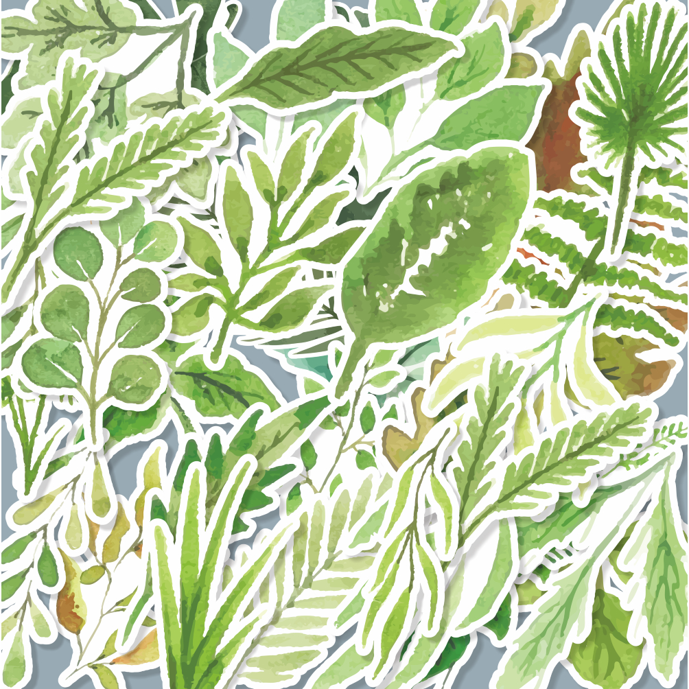 

(20 pcs) cetak stiker Label murah random/ stiker DAUN-watercolor/stiker kartun lucu/random/murah/stiker satuan/murah/random