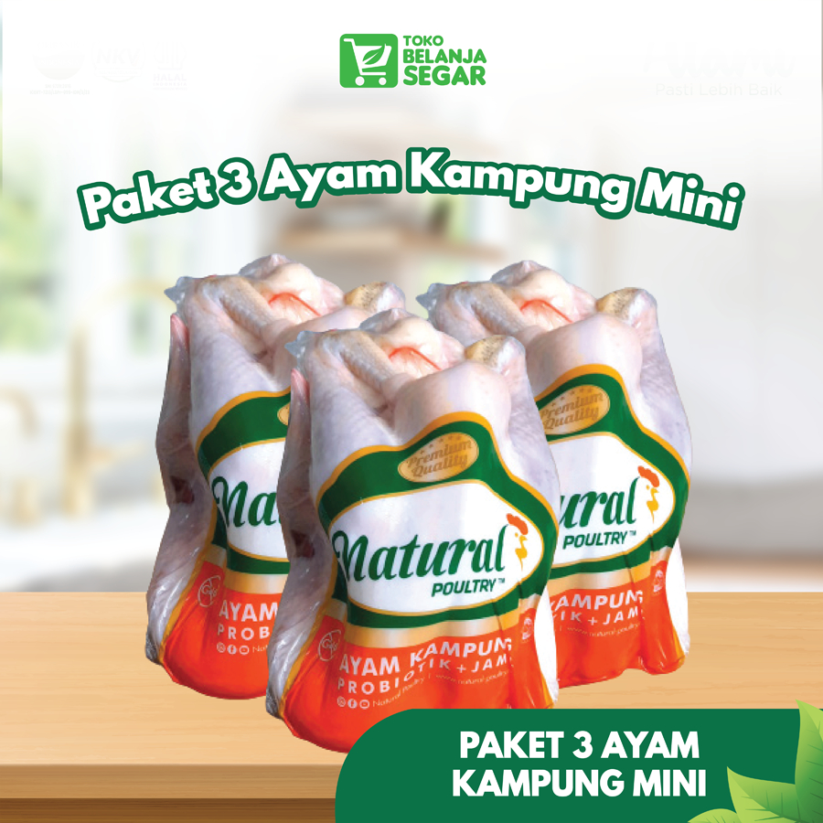 

Paket 3 Ayam Kampung Mini (600-700 gram) - Natural Poultry