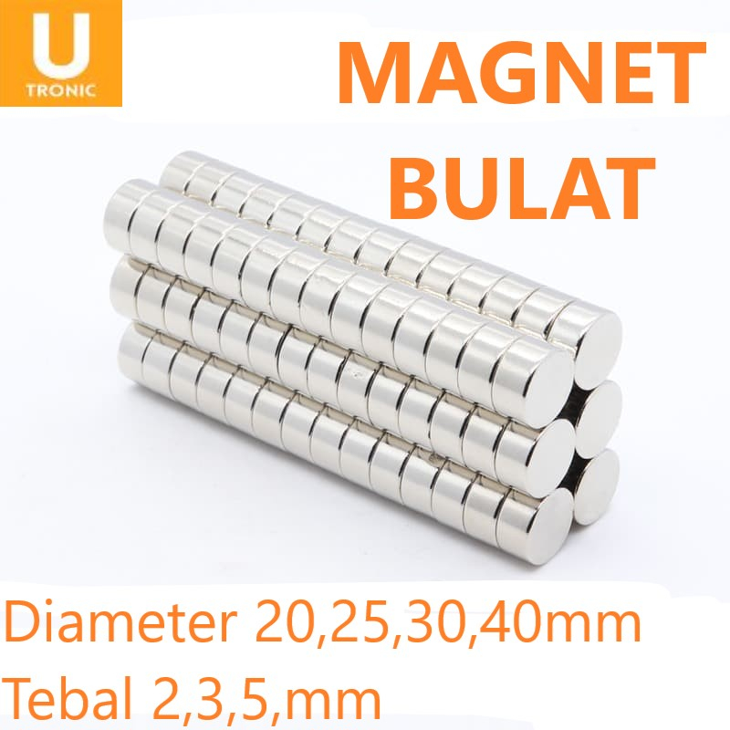 Magnet Neodymium Bulat