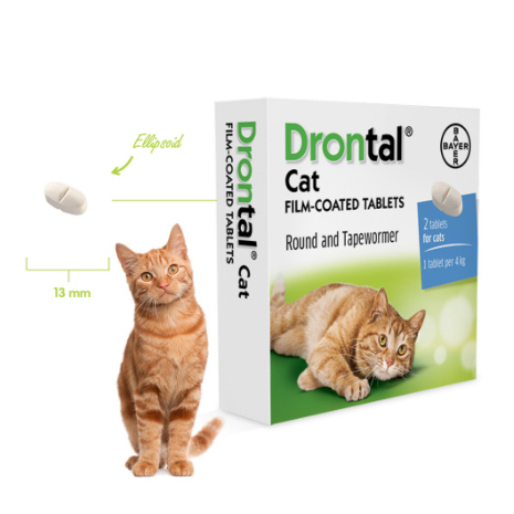 DRONTAL CAT 1 TABLET OBAT CACING KUCING OBAT DRONTAL KUCING