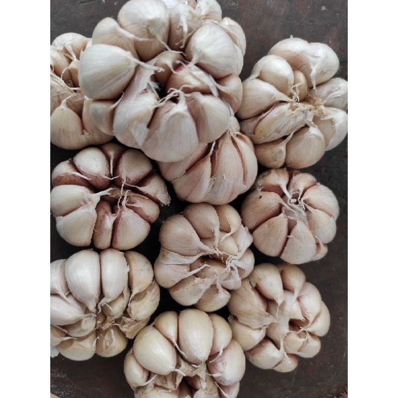 

Baput Bawang Putih 500gr