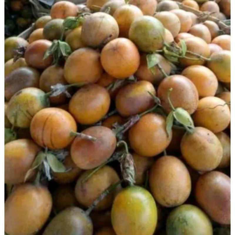 

konyal