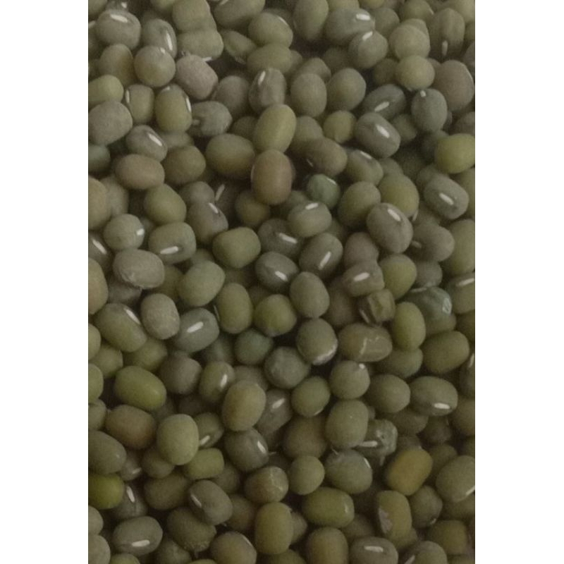 

Kacang hiijau lokal super 1kg