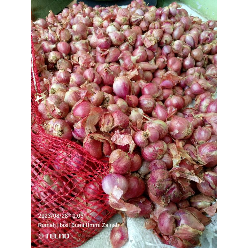 

Bawang Merah Brebes 1kg