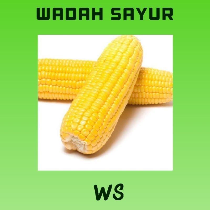 

Jagung Manis Kupas ( 1 Kilo ) | Wadah Sayur Bogor