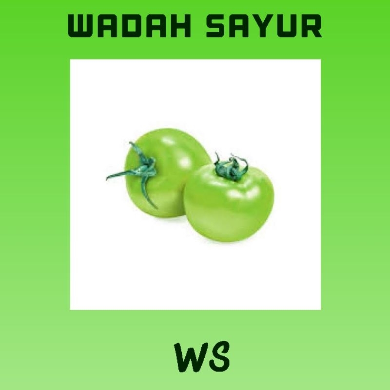 

Tomat Hijau Segar ( 500 Gram ) | Wadah Sayur Bogor