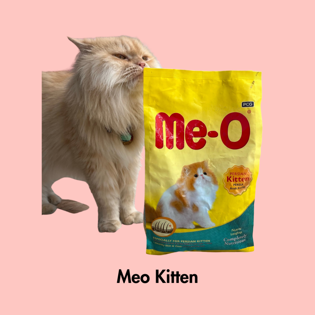 Meo Kitten Dry food