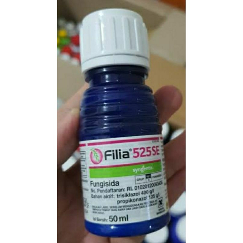 filia 50 ml