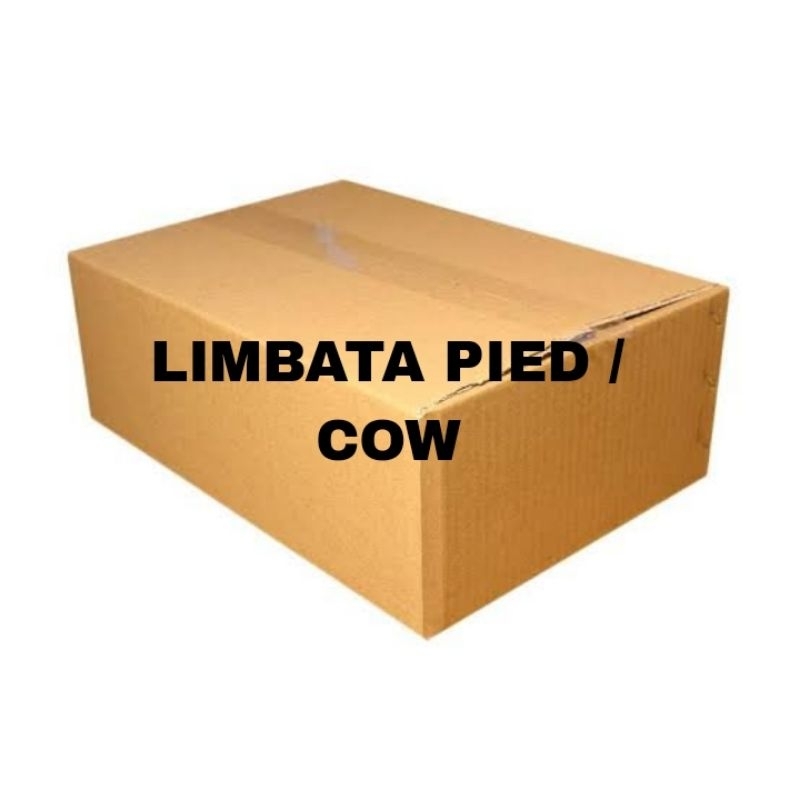 

Kardus packing limbata cow/pied