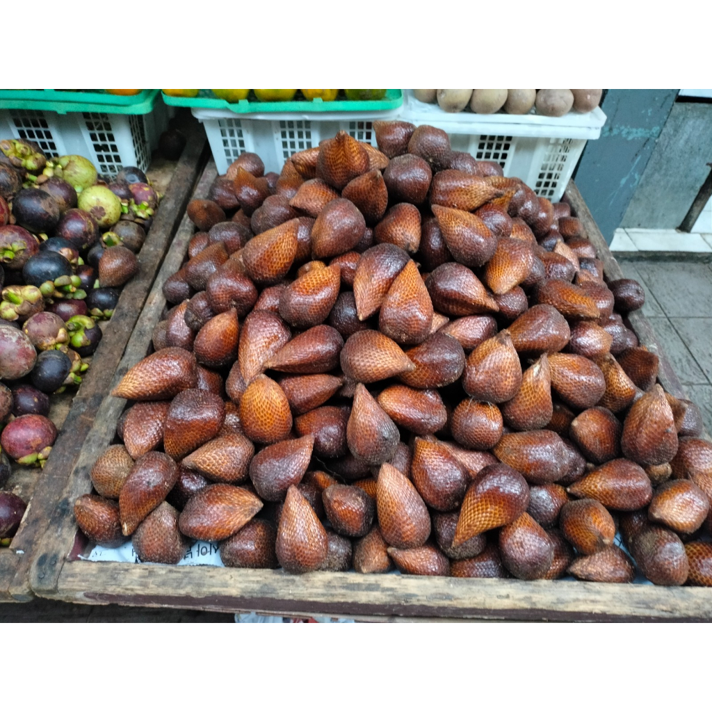 

Salak Pondoh Manis Berkualitas Hanya 22 Rb Per Kilo