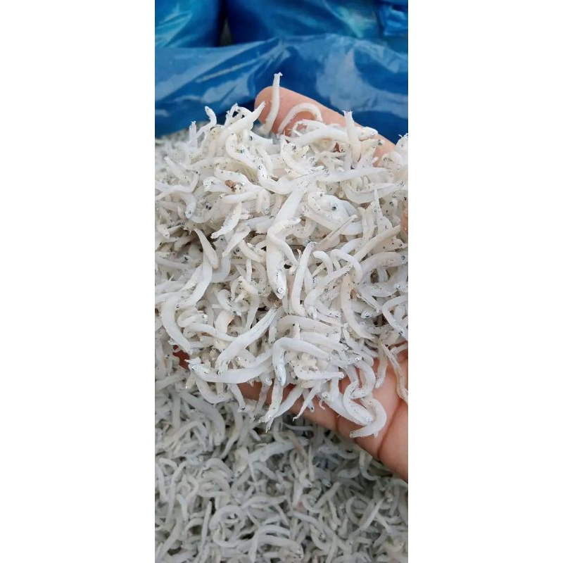 

Teri nasi Medan teri Medan