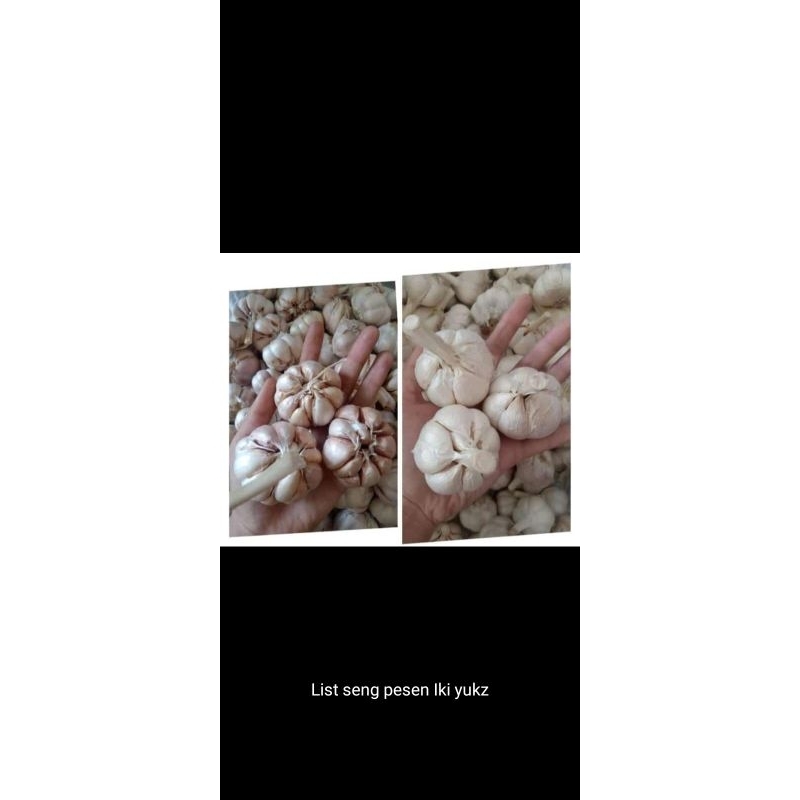 

baput 1/2 kg