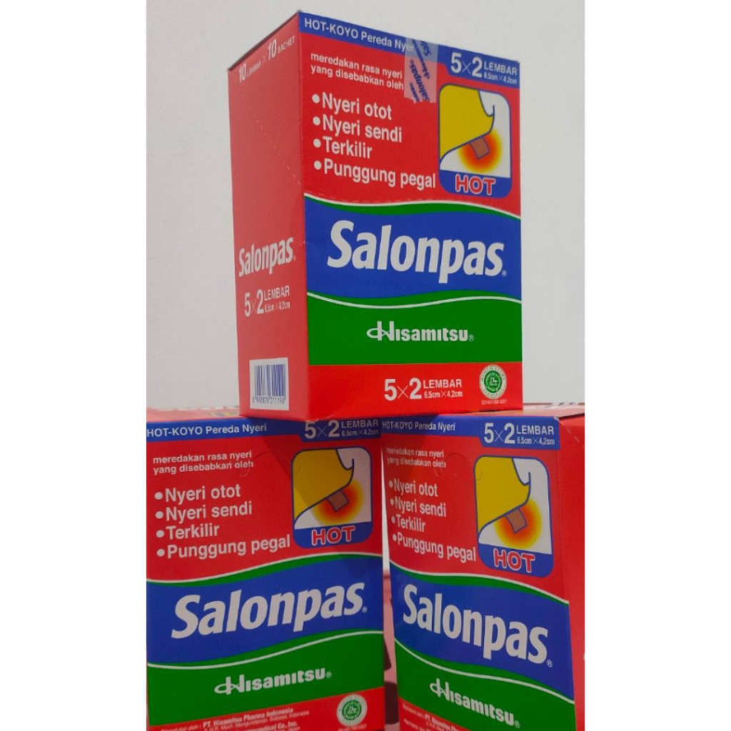 Salonpas Hot/box 100