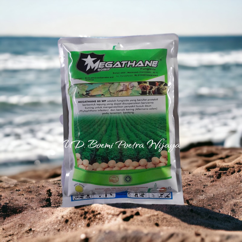 FUNGISIDA MEGATHANE 80WP
