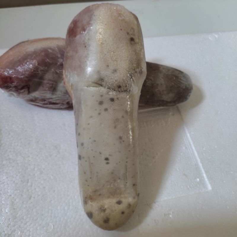 

lidah sapi 1 kg