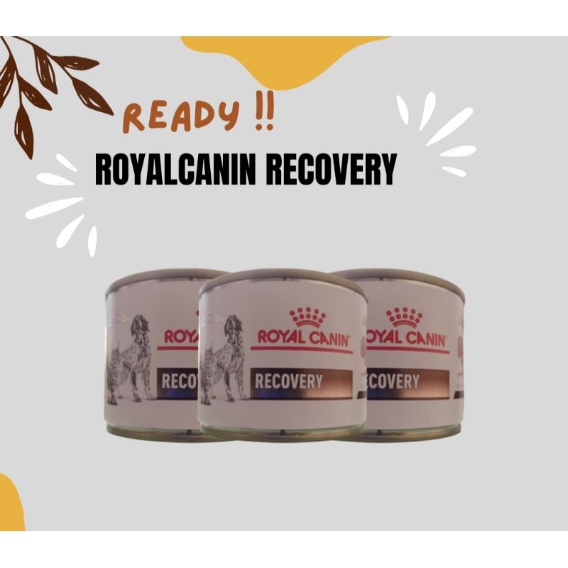 ROYAL CANIN RECOVERY