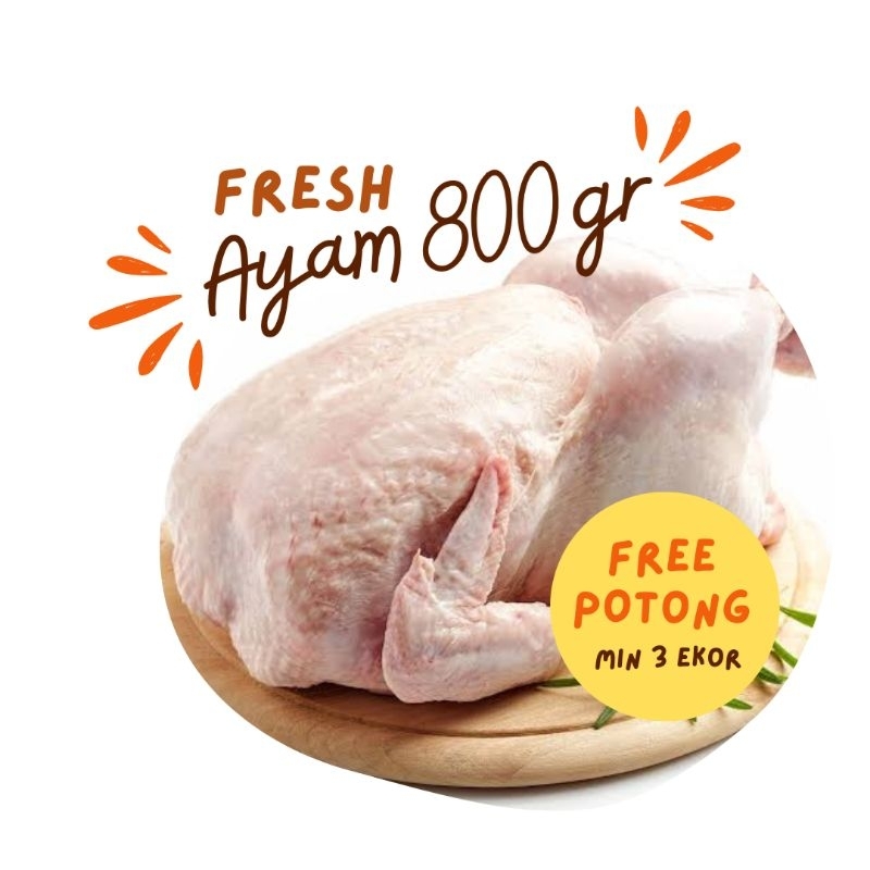 

Ayam Utuh, Ayam Karkas, Ayam Potong, Ayam Boiller, Ayam 800gr