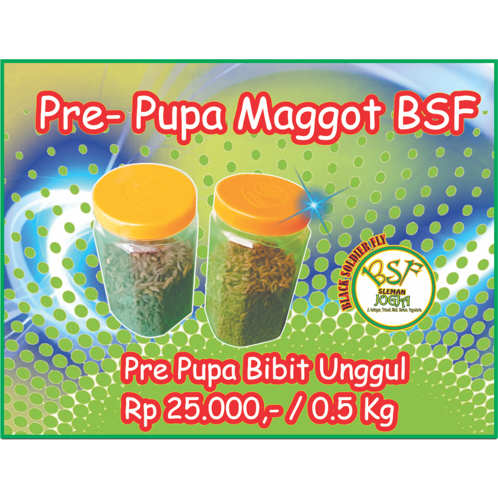 PrePupaMaggotBSF