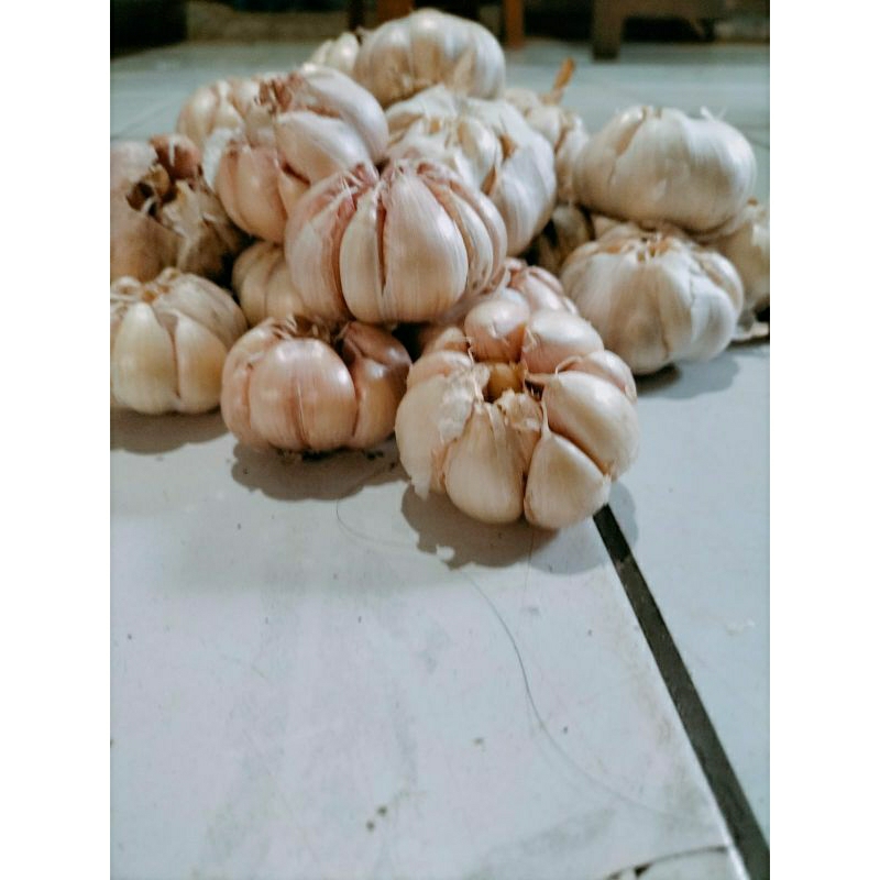 

jual bawang putih kiloan