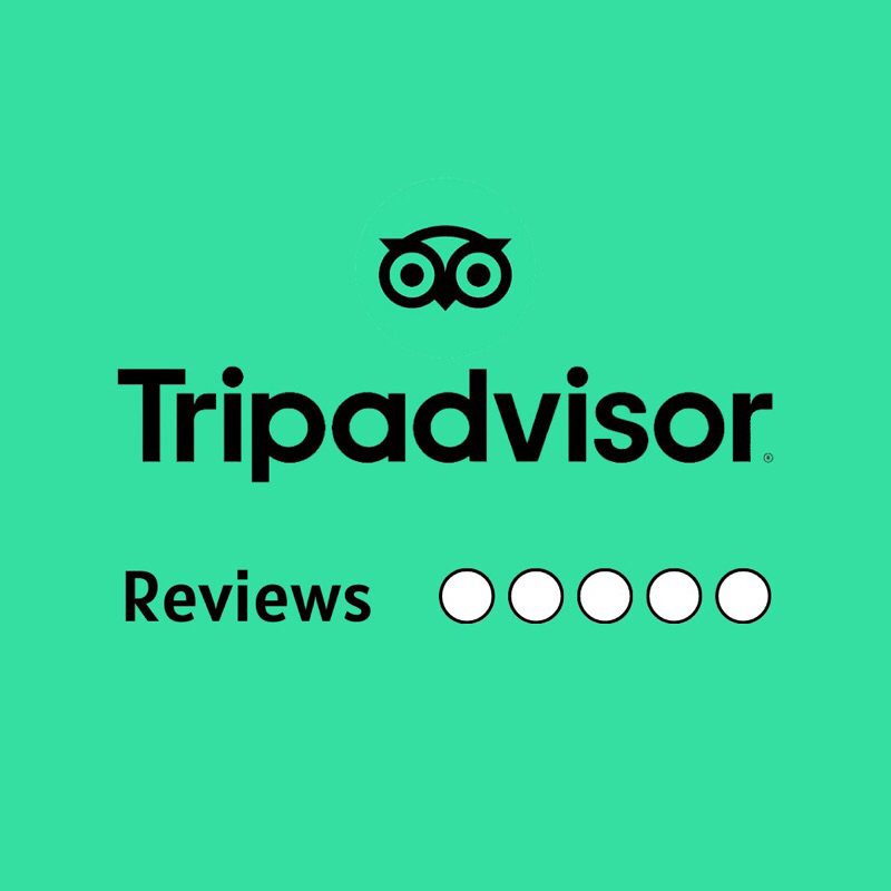 REVIEW TRIPADVISOR /MURAH TERPERCAYA / JASA REVIEW TRIPADVISOR