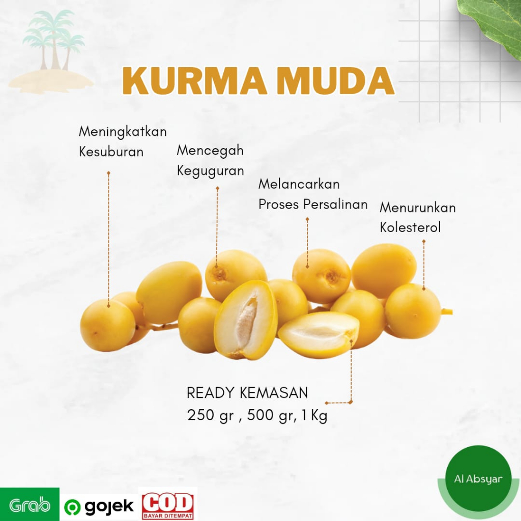 

Kurma Muda 1 Kg Ampuh Untuk Promil Kurma Muda Kurmud Program Hamil Suami Istri Paket Kurma Muda Ampuh Suami Istri Oleh-Oleh Haji Umroh Timur Tengah Grosir Kurma Muda Kurma Ruthob Program Hamil Kurma Muda Amph Suami Istri Buah Zuriat Promil Kurma Alif