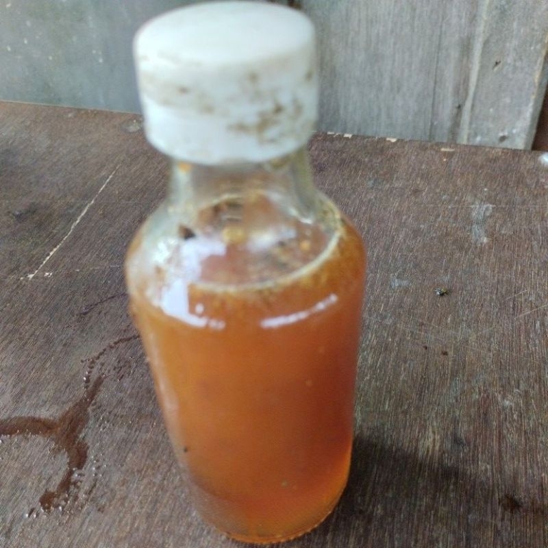 

madu klanceng bambu murni