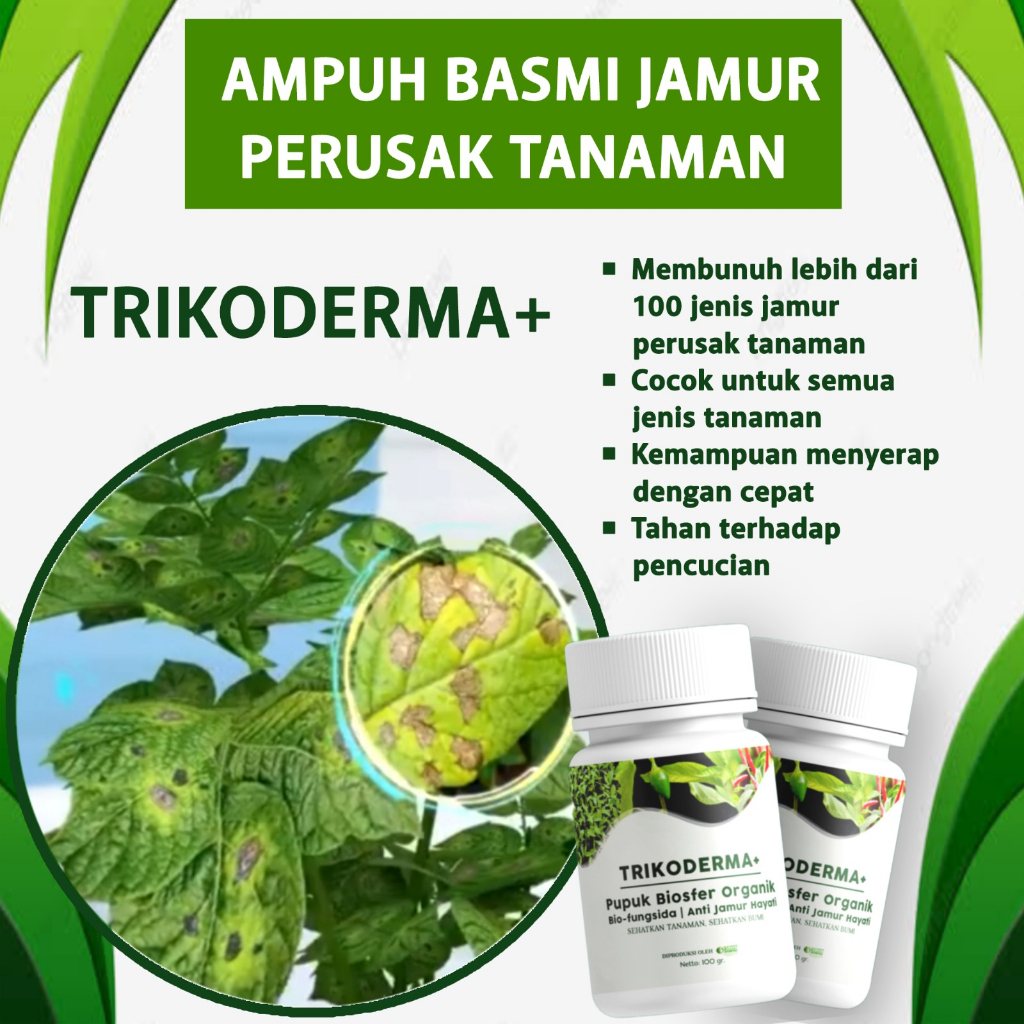 Trikoderma Obat Jamur Tanaman