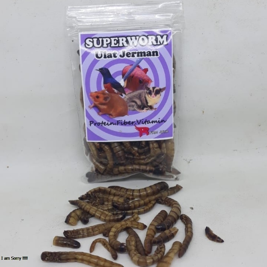 Ulat Jerman Kering 25 GRAM