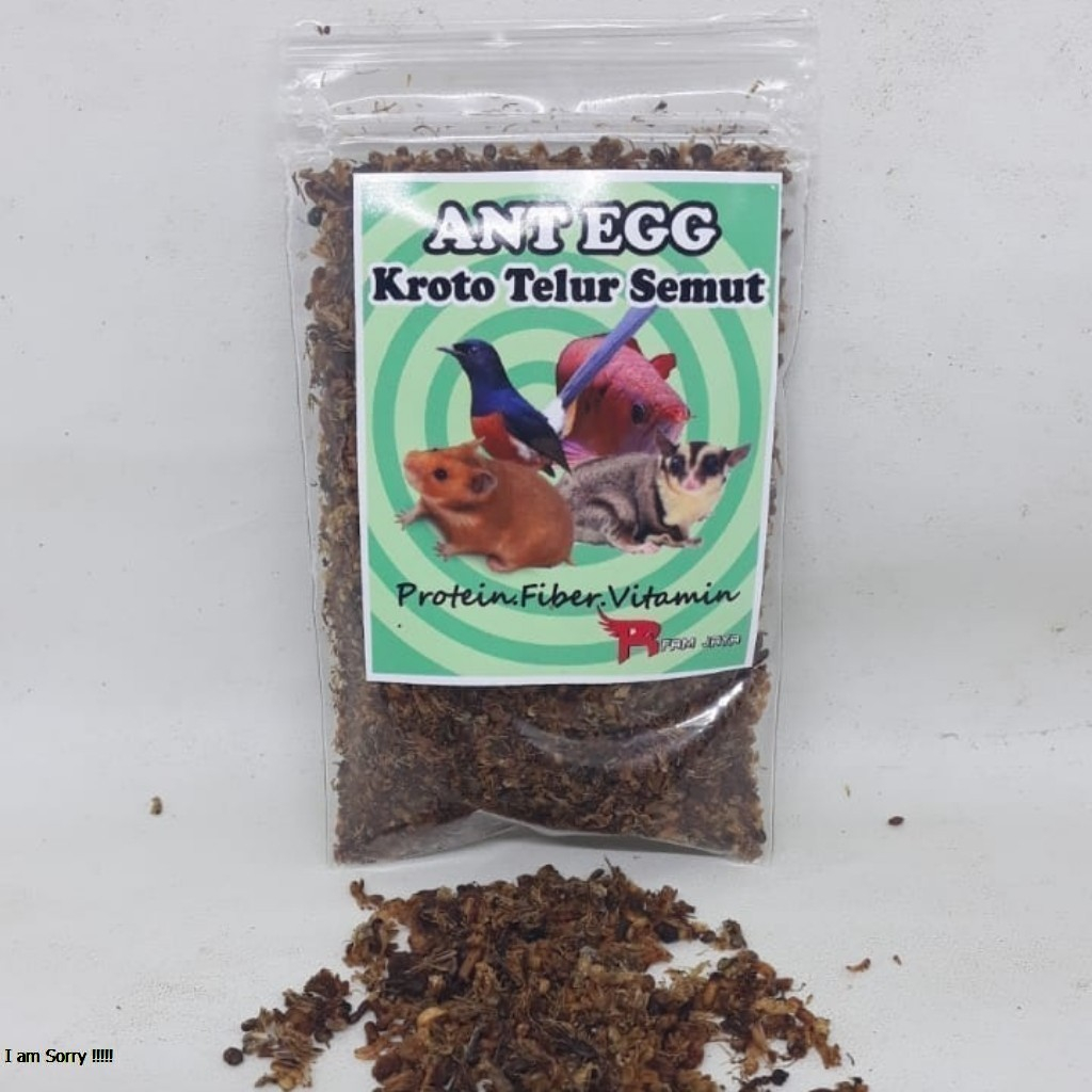 KROTO KERING 50 GRAM PAKAN BURUNG MURAI CIBLEK ANIS KACER LOLOHAN ANA