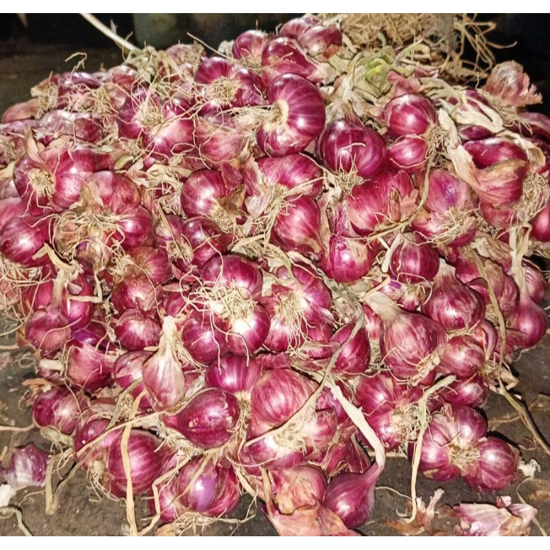 

Bawang merah 1kg.asli bawang probolinggo